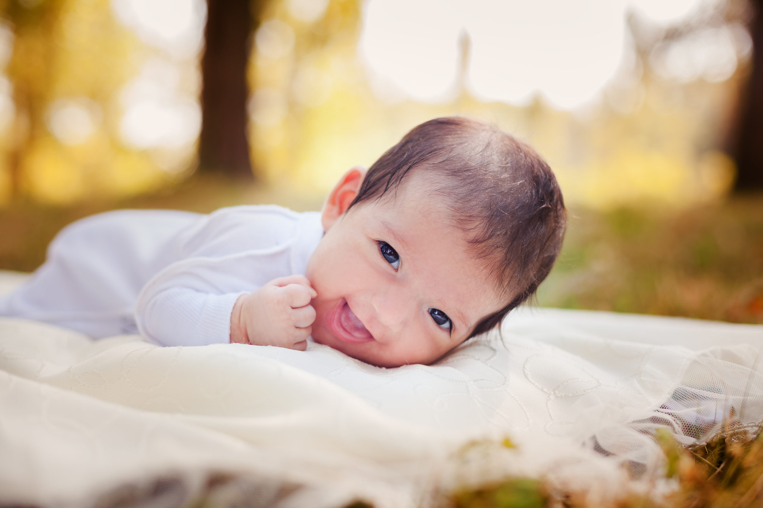 shutterstock_213213955