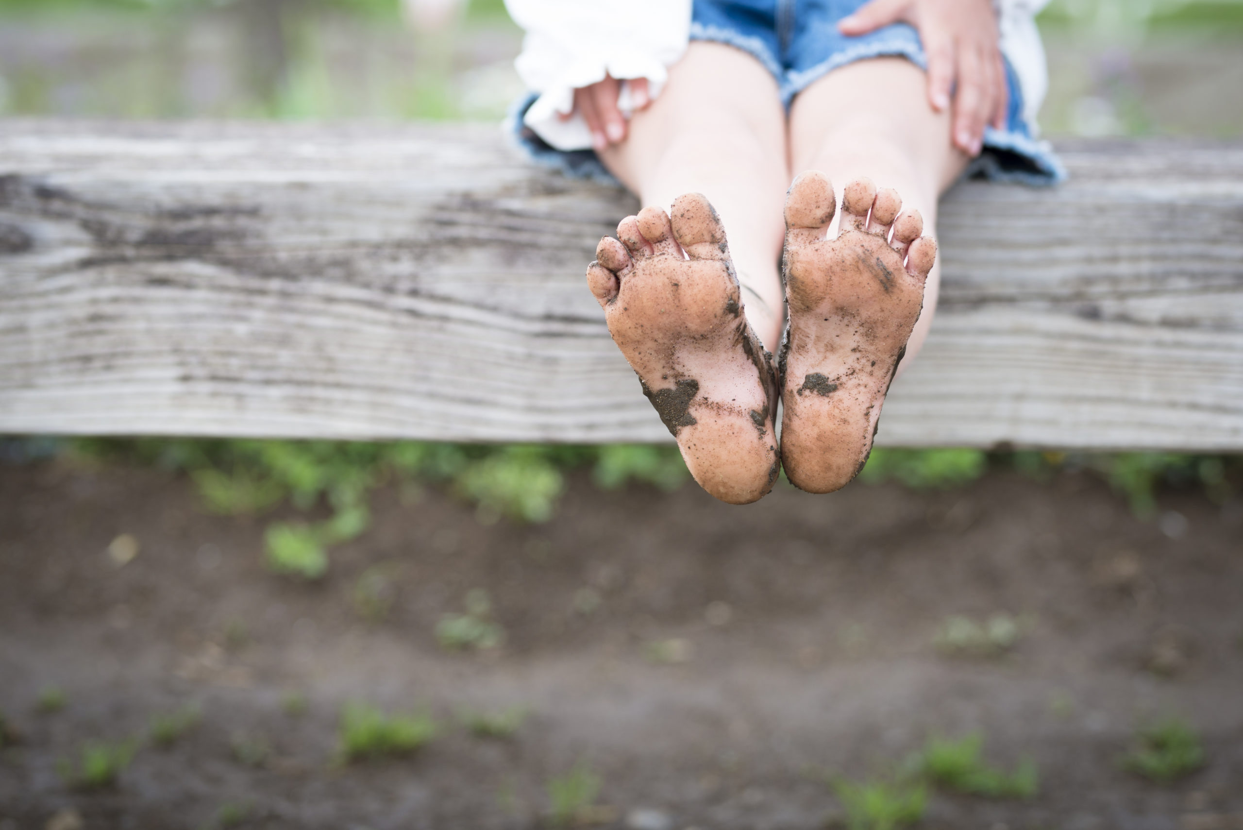 shutterstock_623373983