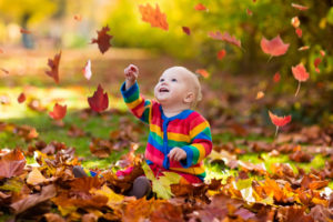 shutterstock_677803471